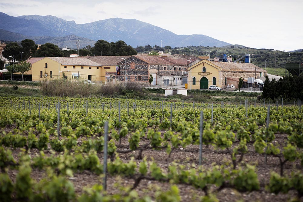 Celler Cooperatiu d’Espolla