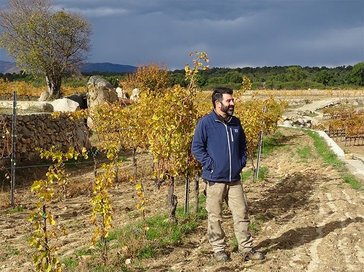 Bonfill Arché, del Celler Arché Pagès, Capmany Bonfill Arché, del Celler Arché Pagès, Capmany