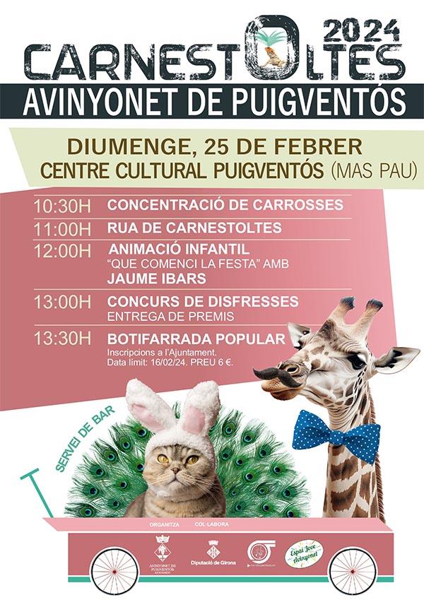 Carnaval Avinyonet 2024