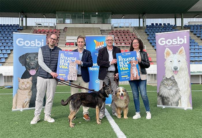 L’Ajuntament de Figueres, la UE Figueres i Gosbi promouen l’adopció de gossos i gats L’Ajuntament de Figueres, la UE Figueres i Gosbi promouen l’adopció de gossos i gats