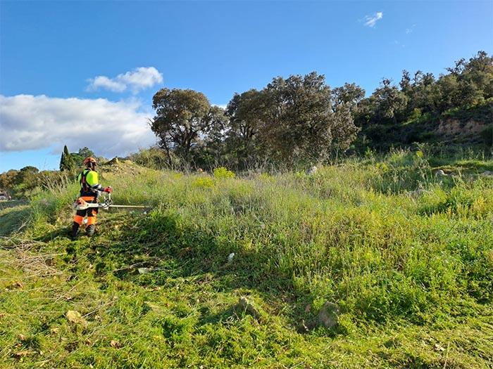 La Jonquera reforça la prevenció d’incendis amb el manteniment de 25 hectàrees de franges perimetrals La Jonquera reforça la prevenció d’incendis amb el manteniment de 25 hectàrees de franges perimetrals