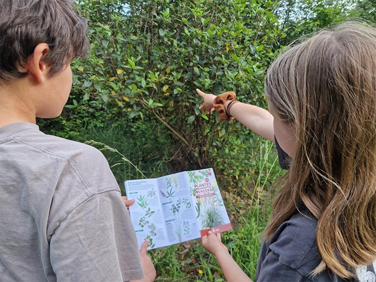 La Diputació de Girona edita una guia per prevenir la proliferació de plantes ornamentals invasores en jardineria La Diputació de Girona edita una guia per prevenir la proliferació de plantes ornamentals invasores en jardineria