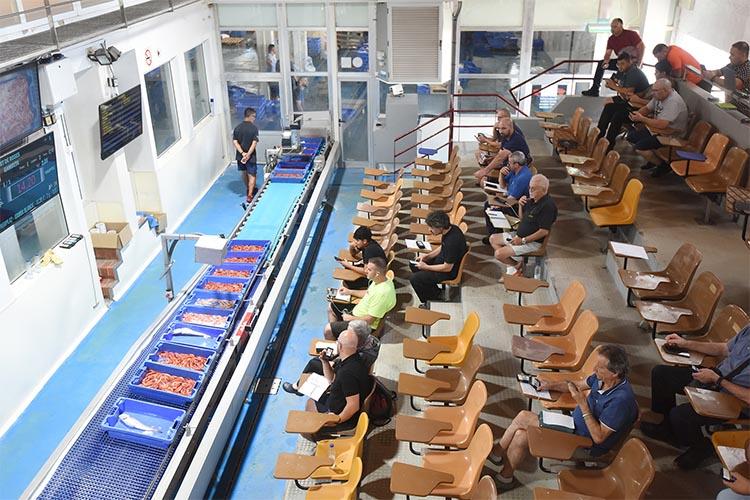 Nova temporada de les visites al port pesquer i a la subhasta de peix, amb taller-degustació final de suquet Nova temporada de les visites al port pesquer i a la subhasta de peix, amb taller-degustació final de suquet