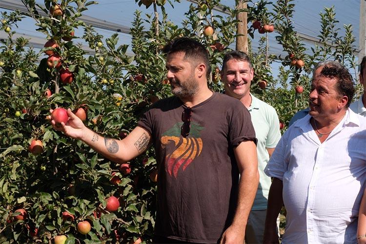Comença la collita de Poma de Girona amb el lema ‘Tot l’any, pomes d’aquí’ i una predicció de més de 100 mil tones Comença la collita de Poma de Girona amb el lema 'Tot l'any, pomes d'aquí' i una predicció de més de 100 mil tones
