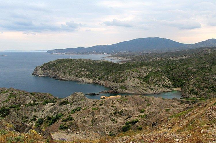 L’Ajuntament de Cadaqués rebutja el projecte de reintroducció de la foca monjo a Cala Jugadora L'Ajuntament de Cadaqués rebutja el projecte de reintroducció de la foca monjo a Cala Jugadora